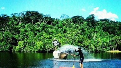 Descubra onde praticar Stand Up Paddle em São Paulo